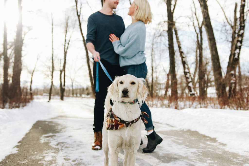 Your Guide to Year-End Tax Planning