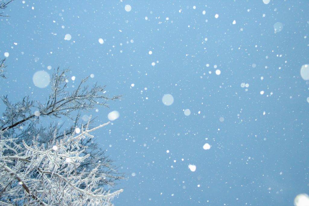 How to Make those Snowbird Retirement Dreams a Reality